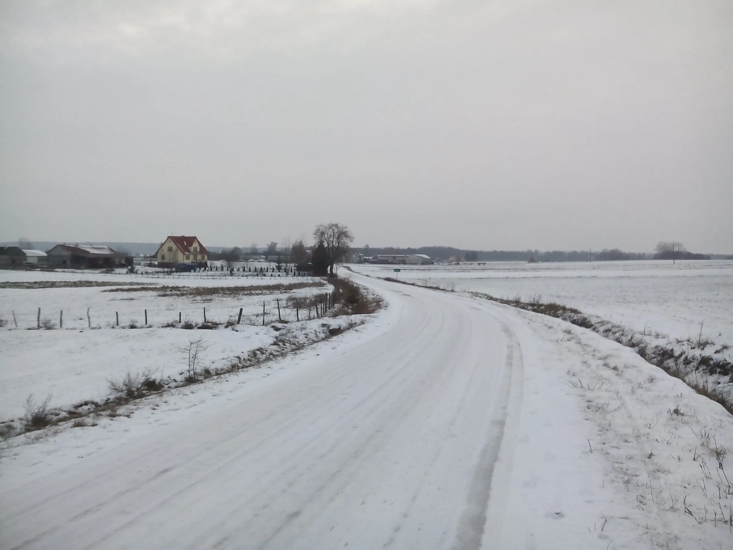 Zaśnieżona droga między polami, w oddali zabudowania wsi