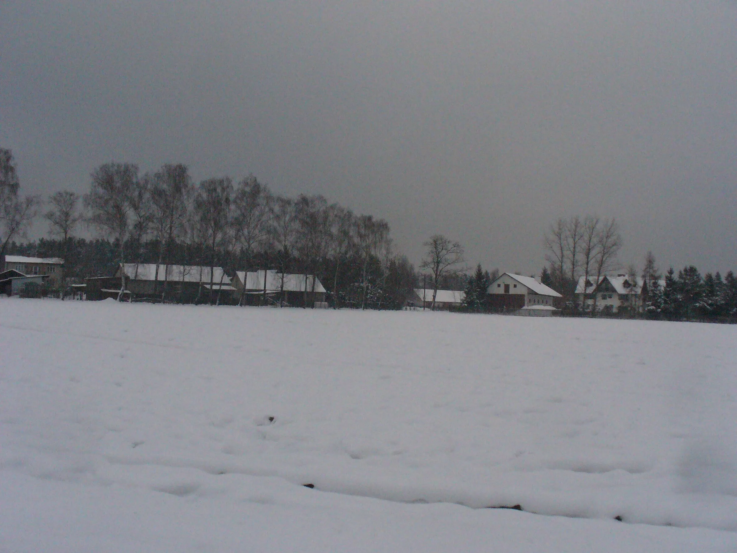 Świniotop zimą, styczeń 2011